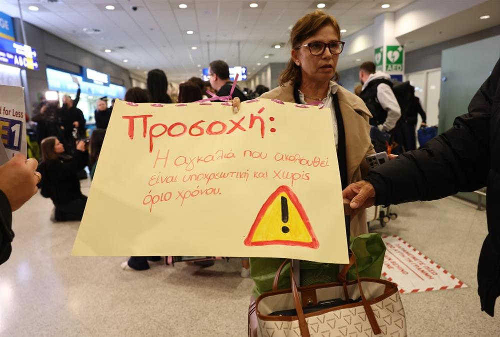 «Καταφέραμε το ακατόρθωτο»: Συγκινητικές στιγμές στο «Ελευθέριος Βενιζέλος» με τον επαναπατρισμό δεκάδων ζώων