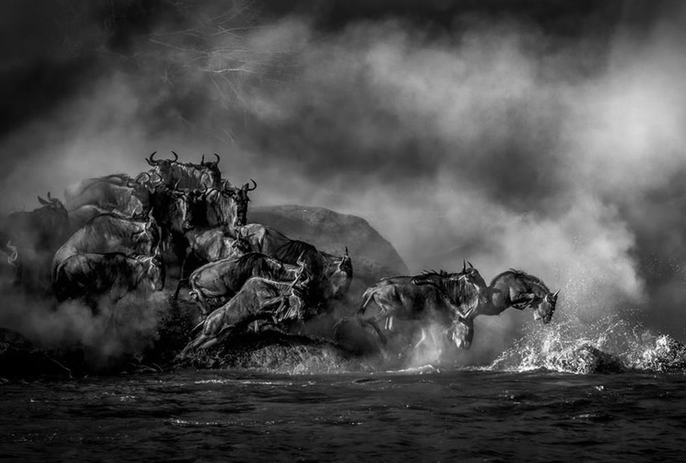 World Nature Photography Awards
