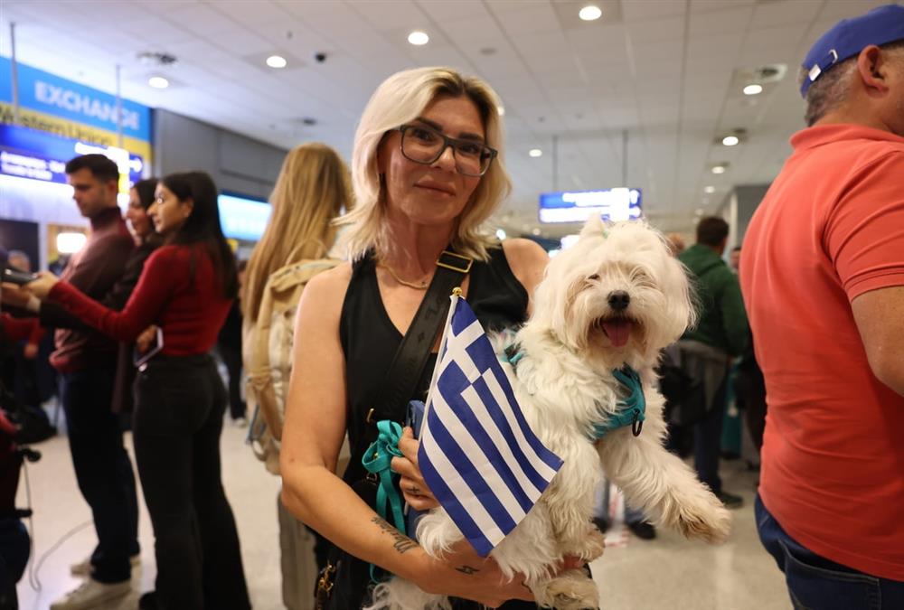 «Καταφέραμε το ακατόρθωτο»: Συγκινητικές στιγμές στο «Ελευθέριος Βενιζέλος» με τον επαναπατρισμό δεκάδων ζώων