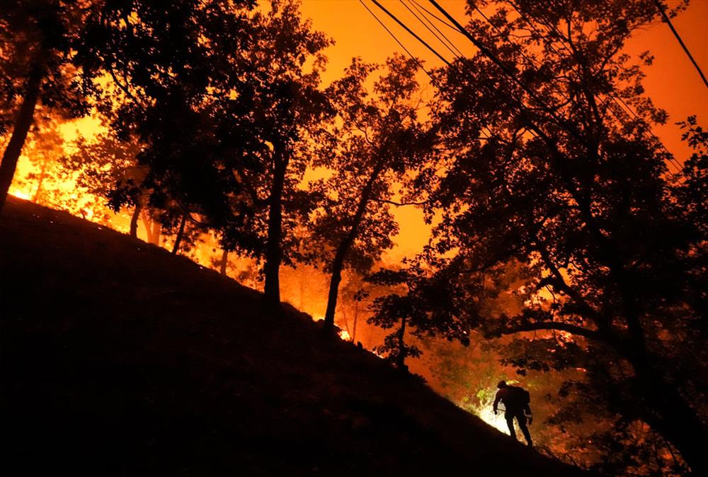 Πύρινη κόλαση στην Καλιφόρνια: Στάχτη χιλιάδες στρέμματα και δεκάδες σπίτια - Συγκλονιστικές εικόνες