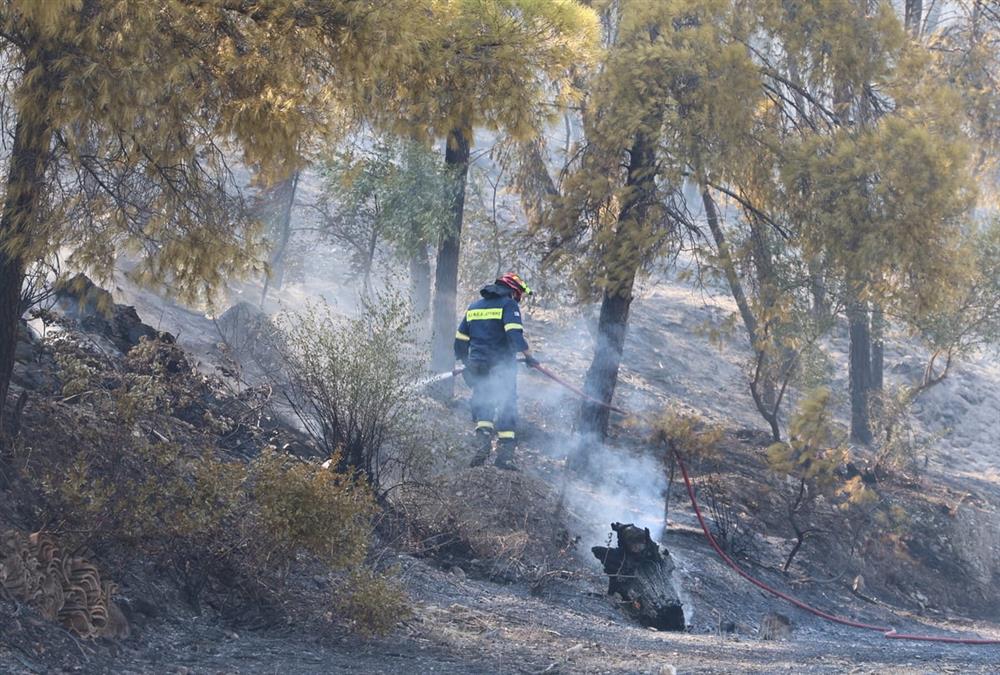 Συγκλονιστικές εικόνες από τη φονική φωτιά στη Σαλαμίνα