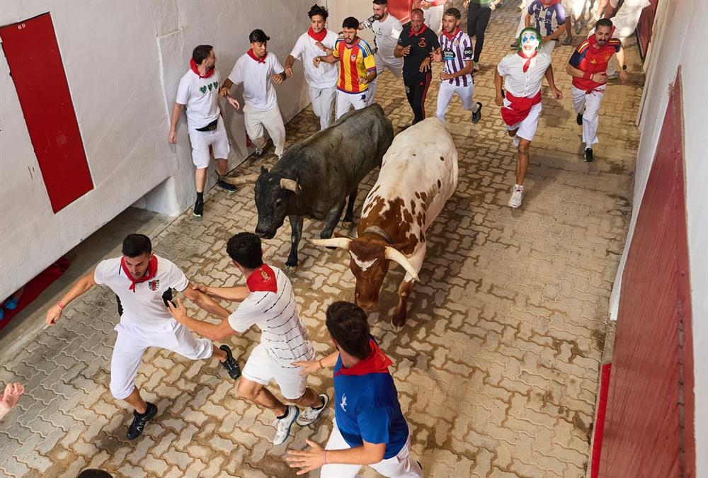Πανικός σε φεστιβάλ στην Παμπλόνα - Ταύρος κάρφωσε δρομέα στο πρόσωπο