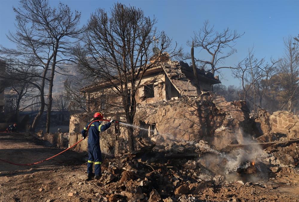 Στάχτη και γκρεμισμένοι κόποι στη Σαλαμίνα: Οι εικόνες μετά το φονικό πέρασμα της φωτιάς