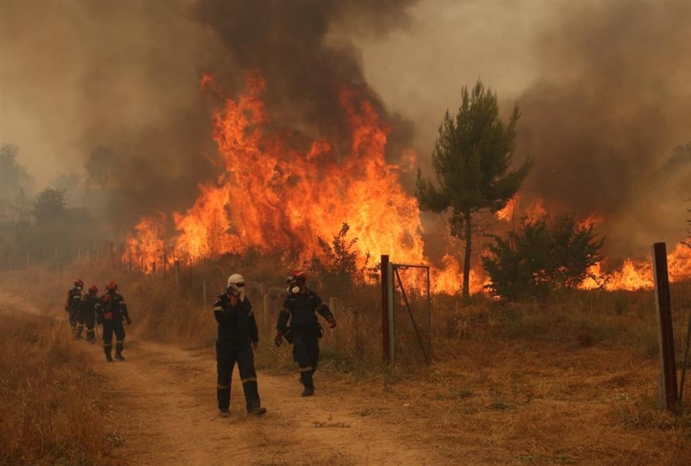 Δεύτερη μέρα μάχης με τις φλόγες στη Δυτική Αττική: Αποκαρδιωτικές εικόνες