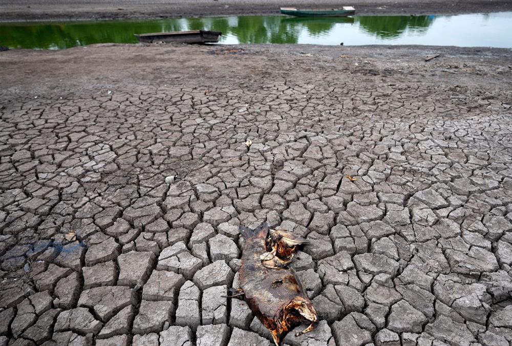Η ξηρασία αλλάζει δραματικά την Ευρώπη: Πλήττεται το 63% των εκτάσεων - Αποκαρδιωτικές εικόνες