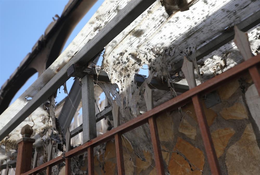 Η «μαύρη» καταγραφή των πυρκαγιών: 118 κτίρια κρίθηκαν «κόκκινα» - Ολοκληρώθηκαν 325 αυτοψίες στις πληγείσες περιοχές