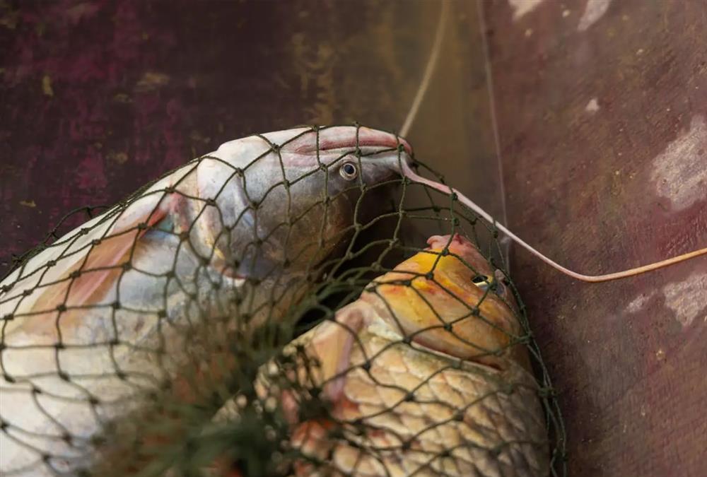 Ταϊλάνδη: Οικολογική βόμβα στον ποταμό Μεκόνγκ από τα τοξικά ορυχείων - Η ρύπανση απειλεί εκατομμύρια ανθρώπους