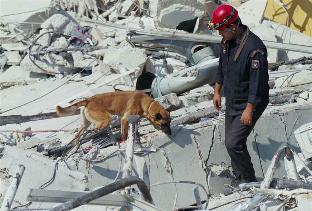 Σαν σήμερα ο σεισμός του 1999: Τα 15 δευτερόλεπτα που κλόνισαν την Αθήνα