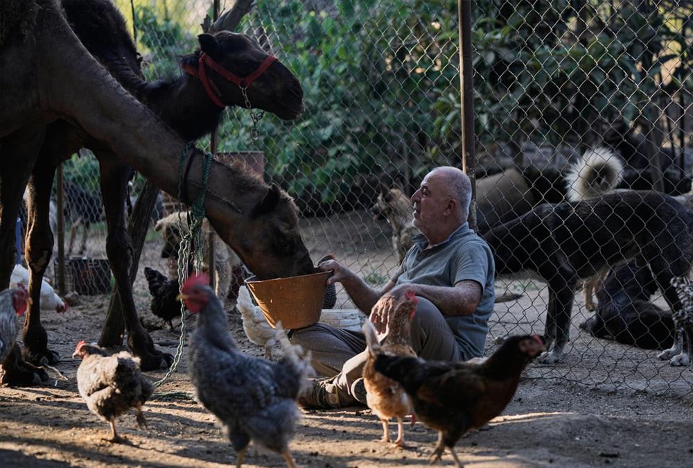 Όλες οι ζωές μετράνε: Ο άνθρωπος που σώζει τα ξεχασμένα ζώα του πολέμου στον νότιο Λίβανο