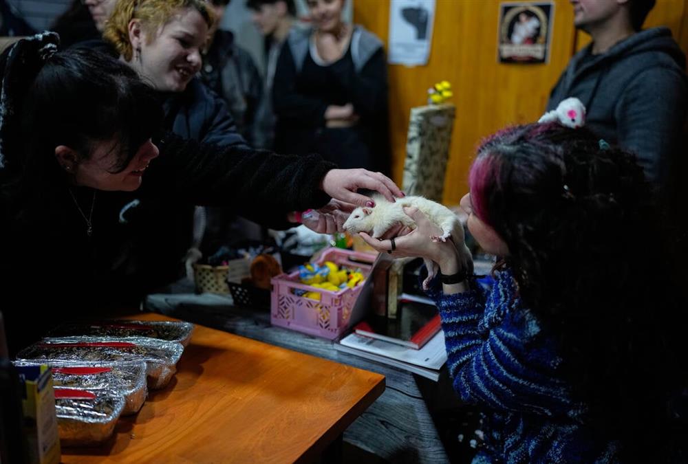 Κανένα ζώο δεν αξίζει να γίνεται πείραμα και, επιτέλους, κάποιοι αποφάσισαν να κάνουν κάτι