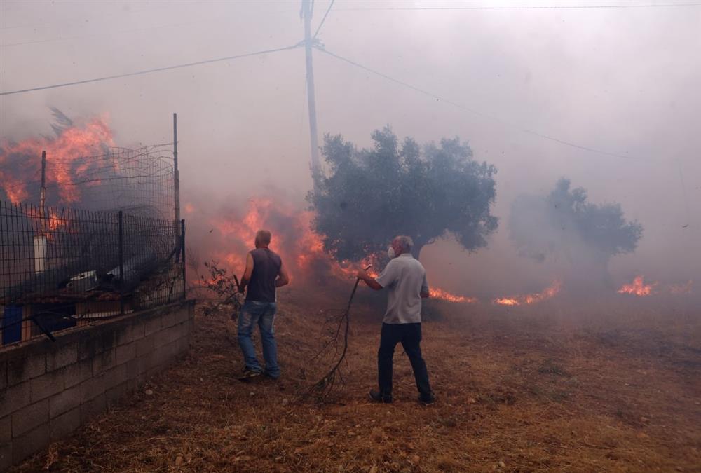 Δεύτερη μέρα μάχης με τις φλόγες στη Δυτική Αττική: Αποκαρδιωτικές εικόνες