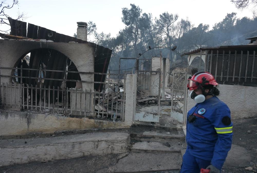Στάχτη και γκρεμισμένοι κόποι στη Σαλαμίνα: Οι εικόνες μετά το φονικό πέρασμα της φωτιάς