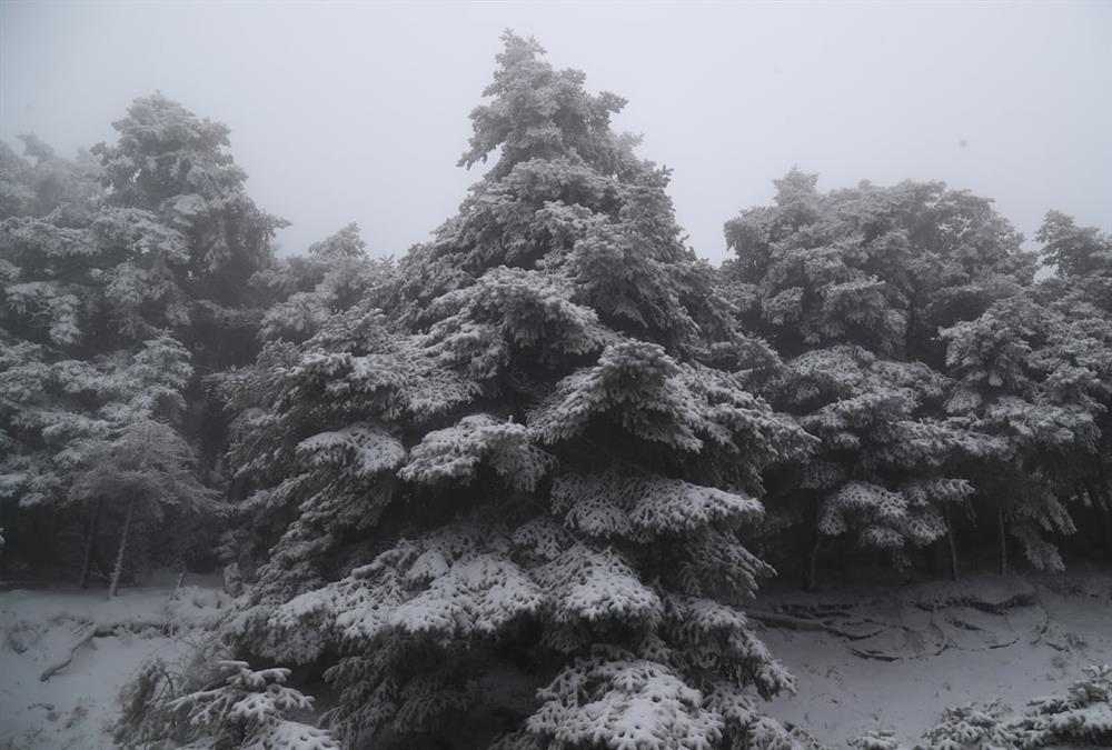 Λευκή η πρώτη μέρα της άνοιξης στην Πάρνηθα