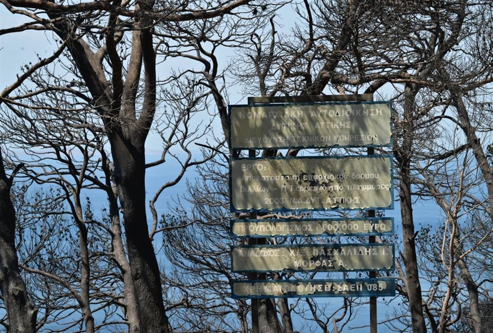«Καταστροφή, σαν να μπαίνεις σε μαύρη τρύπα»: Στάχτες και απόγνωση στην Ψάθα και το Πόρτο Γερμενό