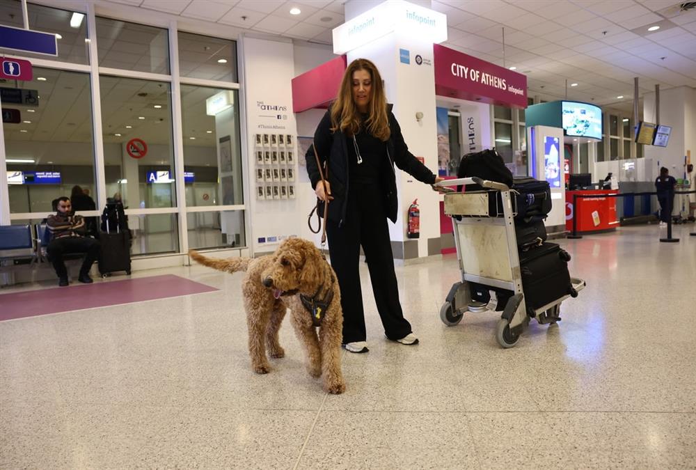 «Καταφέραμε το ακατόρθωτο»: Συγκινητικές στιγμές στο «Ελευθέριος Βενιζέλος» με τον επαναπατρισμό δεκάδων ζώων