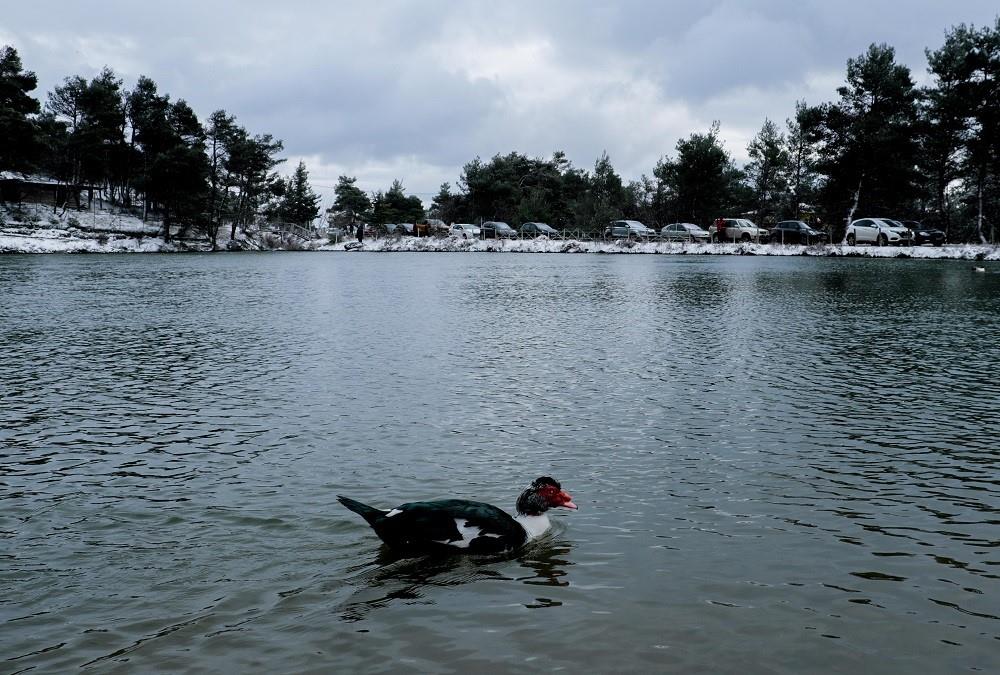 Πάρνηθα: Μαγικές εικόνες με τα χιόνια στη λίμνη Μπελέτσι