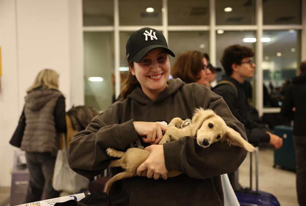 «Καταφέραμε το ακατόρθωτο»: Συγκινητικές στιγμές στο «Ελευθέριος Βενιζέλος» με τον επαναπατρισμό δεκάδων ζώων