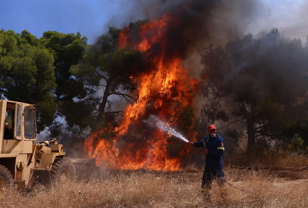 Δεύτερη μέρα μάχης με τις φλόγες στη Δυτική Αττική: Αποκαρδιωτικές εικόνες
