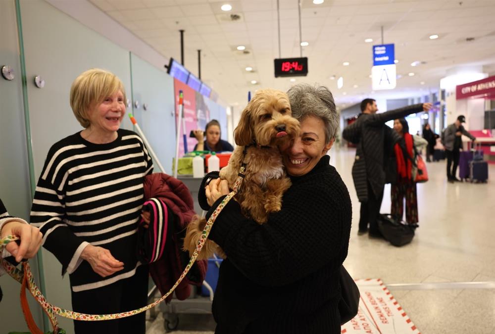 «Καταφέραμε το ακατόρθωτο»: Συγκινητικές στιγμές στο «Ελευθέριος Βενιζέλος» με τον επαναπατρισμό δεκάδων ζώων