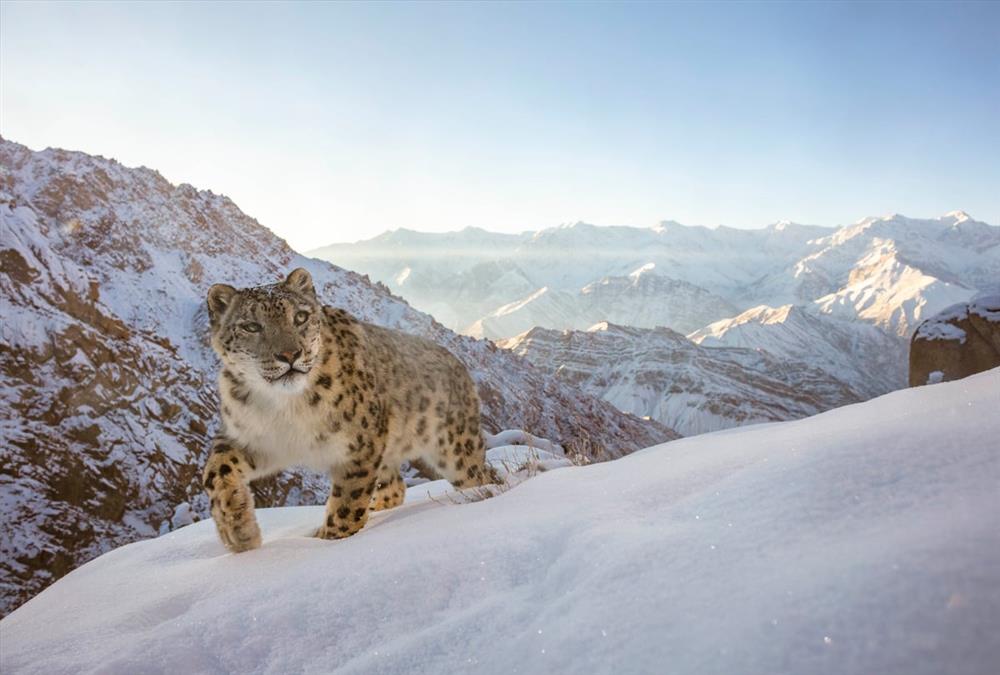 World Nature Photography Awards
