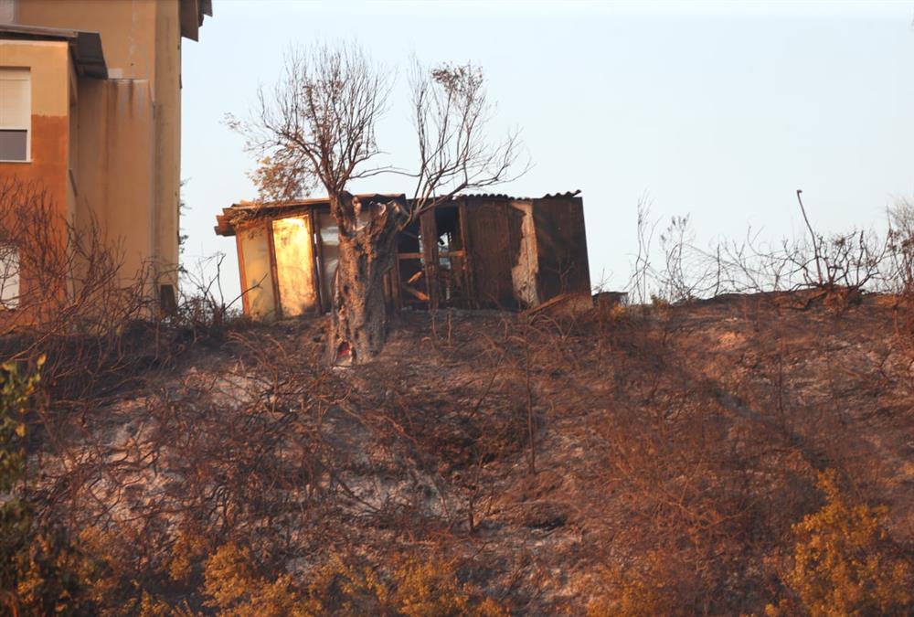 Εικόνες καταστροφής από τη φωτιά στη Χαλκιδική: Καμένα σπίτια και αυτοκίνητα