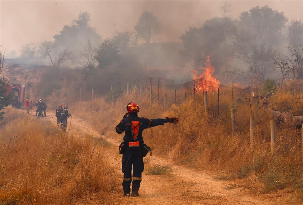 Δεύτερη μέρα μάχης με τις φλόγες στη Δυτική Αττική: Αποκαρδιωτικές εικόνες