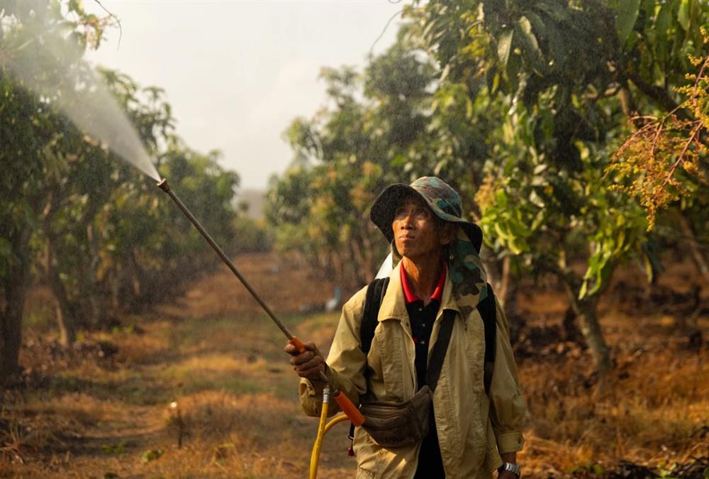 Ταϊλάνδη: Οικολογική βόμβα στον ποταμό Μεκόνγκ από τα τοξικά ορυχείων - Η ρύπανση απειλεί εκατομμύρια ανθρώπους