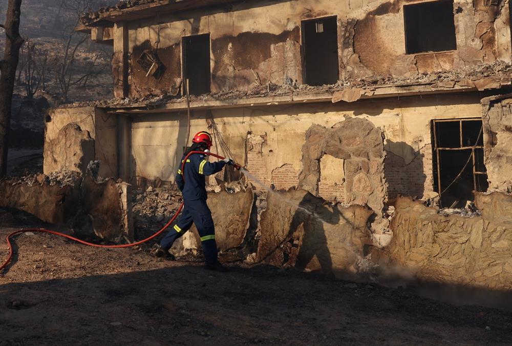 Στάχτη και γκρεμισμένοι κόποι στη Σαλαμίνα: Οι εικόνες μετά το φονικό πέρασμα της φωτιάς