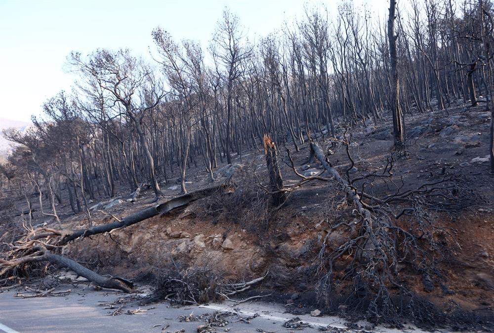 Εικόνες καταστροφής στο Πόρτο Γερμενό