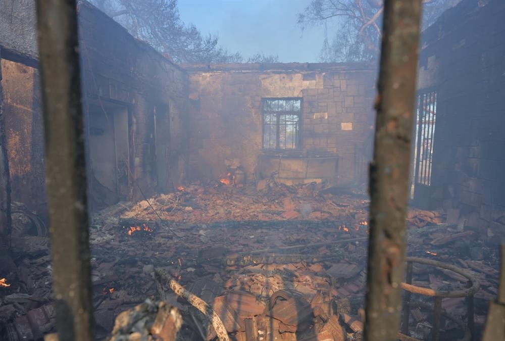 Στάχτη και γκρεμισμένοι κόποι στη Σαλαμίνα: Οι εικόνες μετά το φονικό πέρασμα της φωτιάς