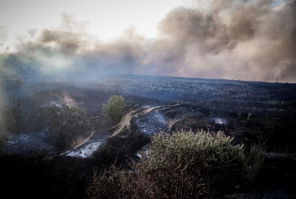 Θλιβερές εικόνες, και φέτος: Στάχτη και αποκαΐδια στο Ωραιόκαστρο Θεσσαλονίκης