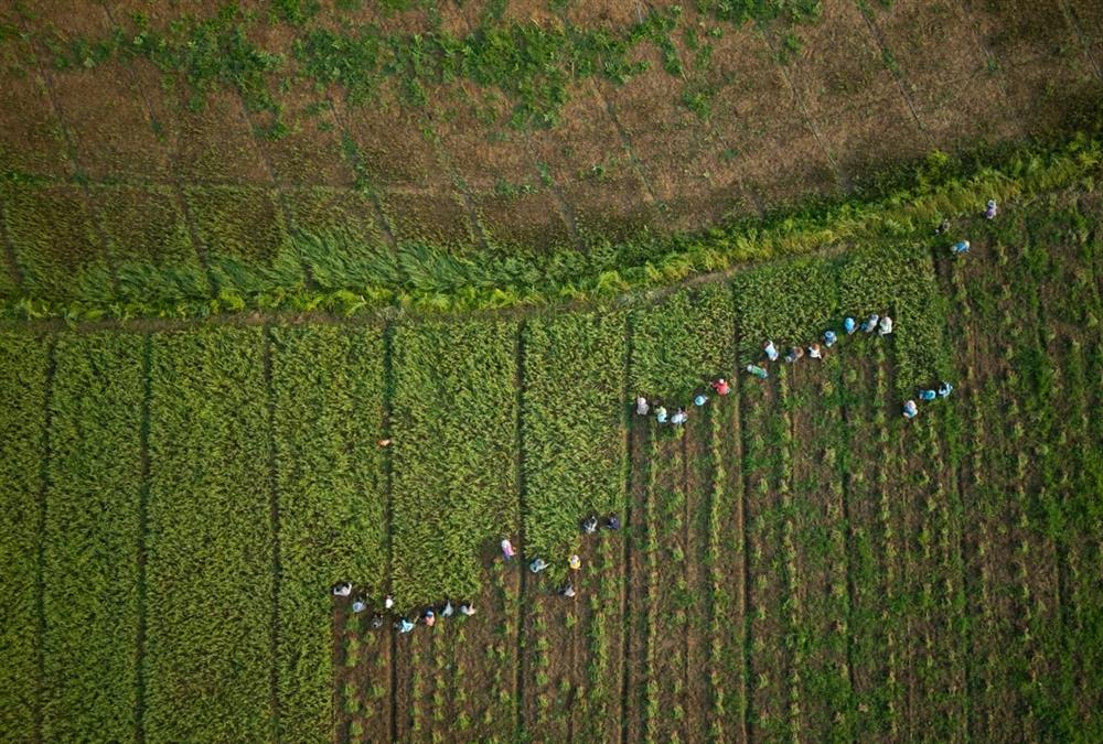 Ταϊλάνδη: Οικολογική βόμβα στον ποταμό Μεκόνγκ από τα τοξικά ορυχείων - Η ρύπανση απειλεί εκατομμύρια ανθρώπους
