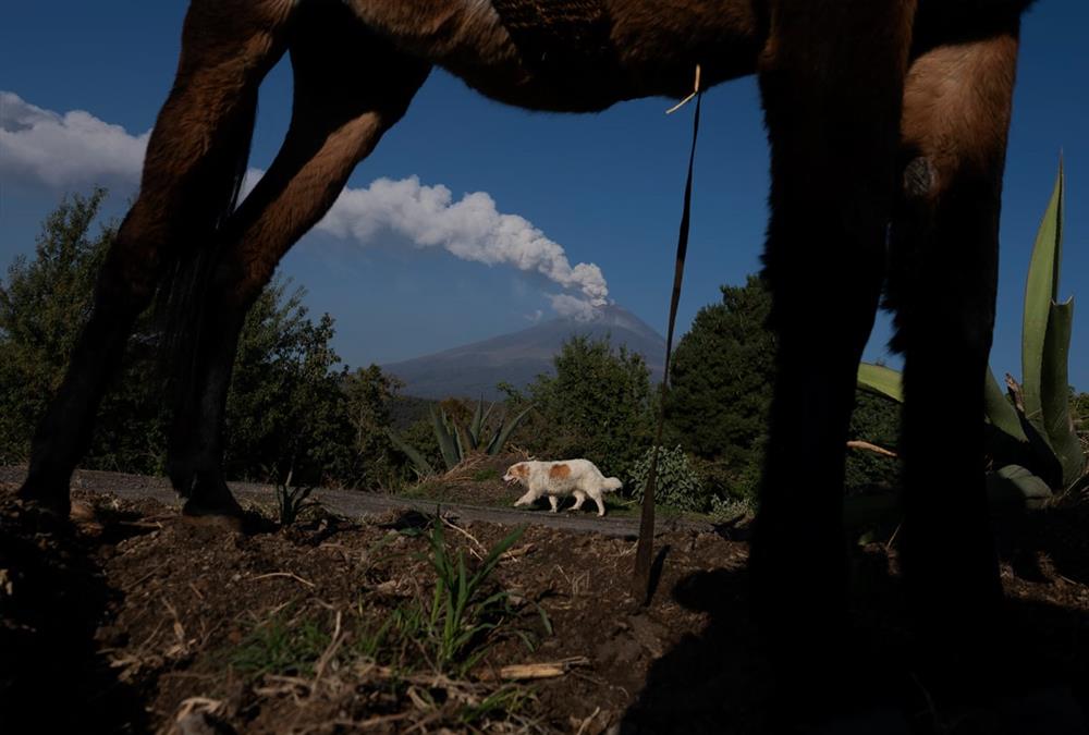 Επίκειται όντως μεγάλη έκρηξη του ηφαιστείου Popo; Το βουνό που βρυχάται κοντά στο Μέξικο Σίτυ καλύπτει τις πόλεις με τέφρα και ακυρώνει τις πτήσεις