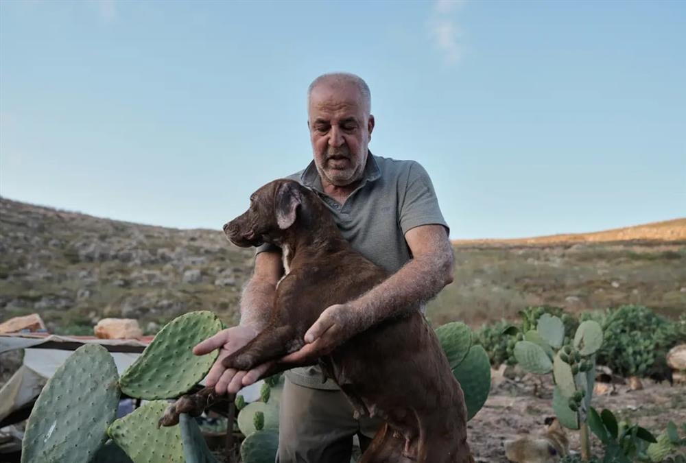 Όλες οι ζωές μετράνε: Ο άνθρωπος που σώζει τα ξεχασμένα ζώα του πολέμου στον νότιο Λίβανο