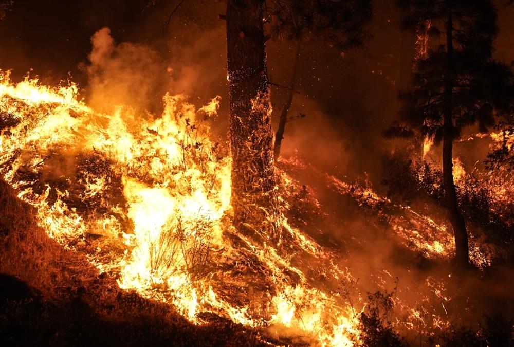 Πύρινη κόλαση στην Καλιφόρνια: Στάχτη χιλιάδες στρέμματα και δεκάδες σπίτια - Συγκλονιστικές εικόνες