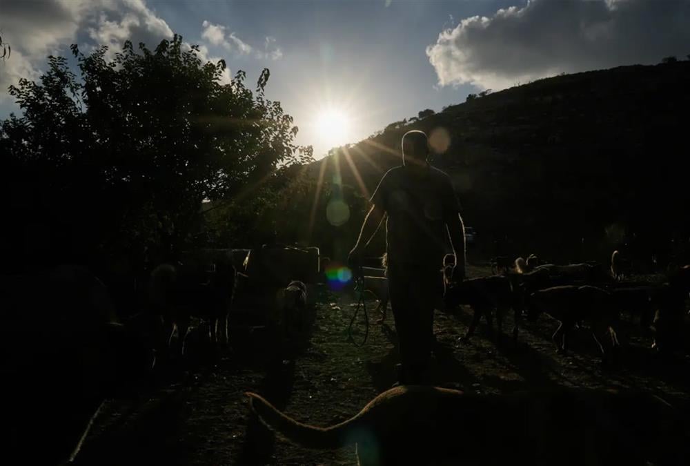 Όλες οι ζωές μετράνε: Ο άνθρωπος που σώζει τα ξεχασμένα ζώα του πολέμου στον νότιο Λίβανο