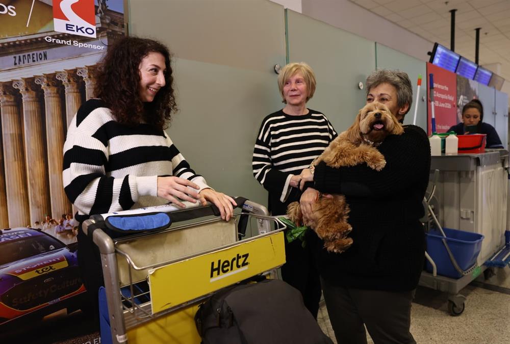 «Καταφέραμε το ακατόρθωτο»: Συγκινητικές στιγμές στο «Ελευθέριος Βενιζέλος» με τον επαναπατρισμό δεκάδων ζώων