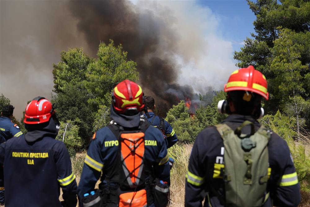 Δεύτερη μέρα μάχης με τις φλόγες στη Δυτική Αττική: Αποκαρδιωτικές εικόνες