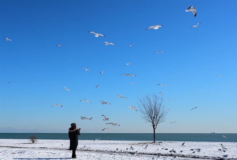 Στην «κατάψυξη» οι ΗΠΑ: Δεκάδες θάνατοι και χιλιάδες νοικοκυριά χωρίς ρεύμα από την πρωτοφανή ψυχρή εισβολή