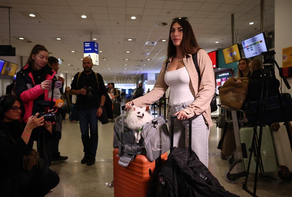 «Καταφέραμε το ακατόρθωτο»: Συγκινητικές στιγμές στο «Ελευθέριος Βενιζέλος» με τον επαναπατρισμό δεκάδων ζώων