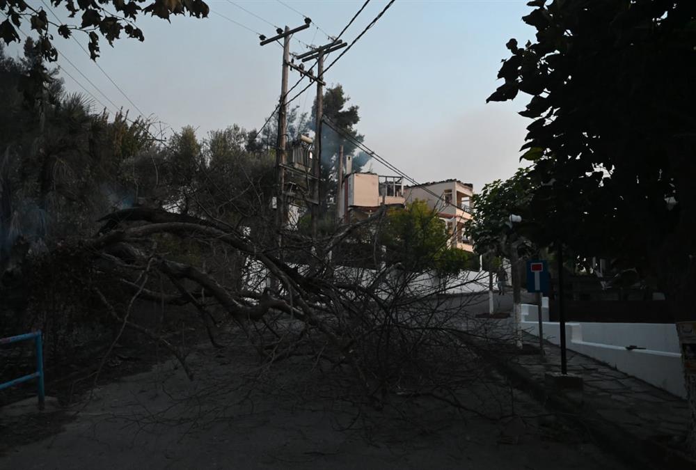 Εικόνες καταστροφής από τη φωτιά στη Χαλκιδική: Καμένα σπίτια και αυτοκίνητα