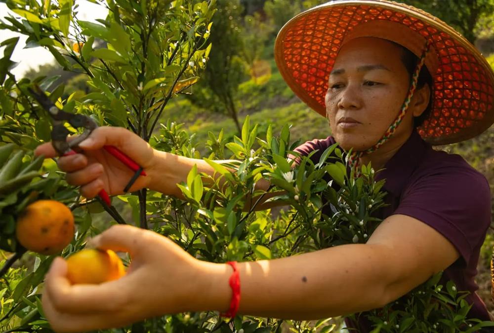 Ταϊλάνδη: Οικολογική βόμβα στον ποταμό Μεκόνγκ από τα τοξικά ορυχείων - Η ρύπανση απειλεί εκατομμύρια ανθρώπους