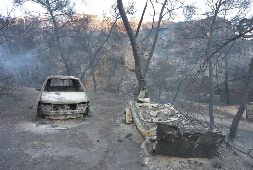 Στάχτη και γκρεμισμένοι κόποι στη Σαλαμίνα: Οι εικόνες μετά το φονικό πέρασμα της φωτιάς