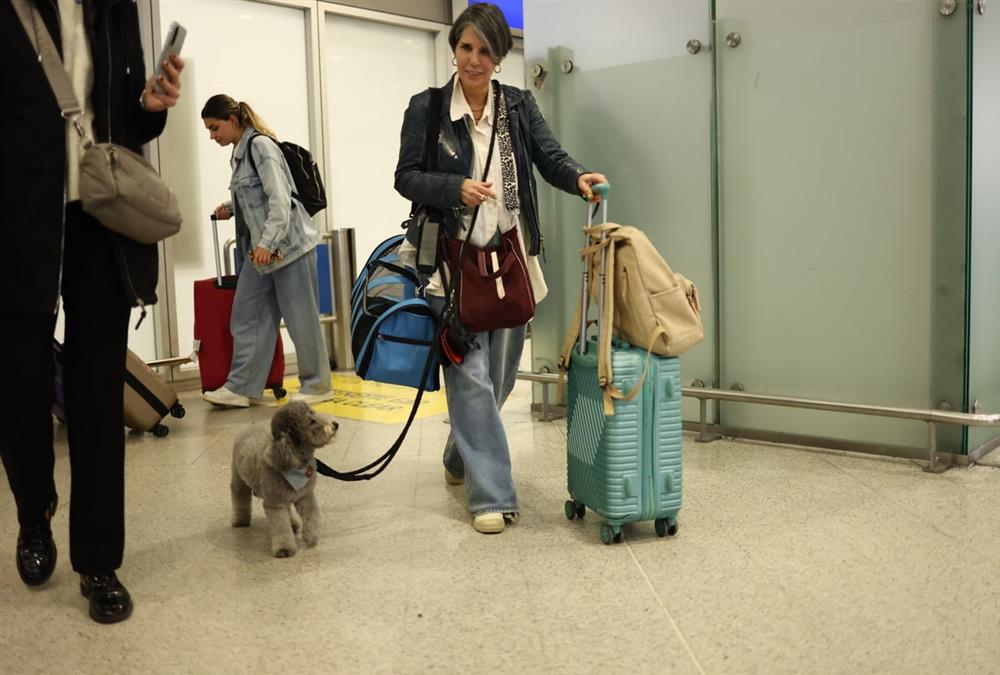 «Καταφέραμε το ακατόρθωτο»: Συγκινητικές στιγμές στο «Ελευθέριος Βενιζέλος» με τον επαναπατρισμό δεκάδων ζώων