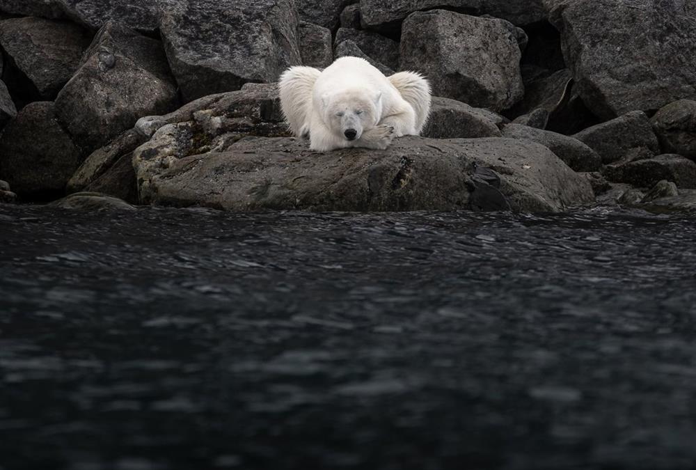 World Nature Photography Awards