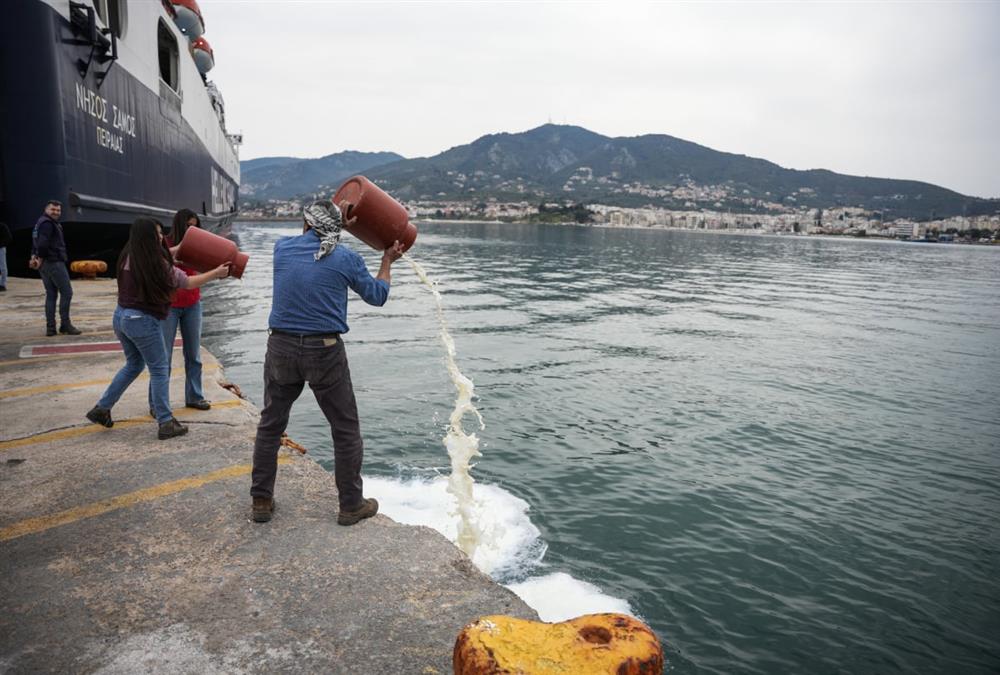 Οργισμένοι κτηνοτρόφοι απέκλεισαν το λιμάνι της Μυτιλήνης και έριξαν γάλα