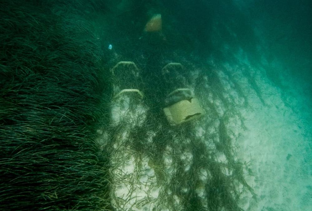 Έκαναν χωματερή τον βυθό της θάλασσας στην Κέρκυρα - Από ξαπλώστρες μέχρι καθίσματα