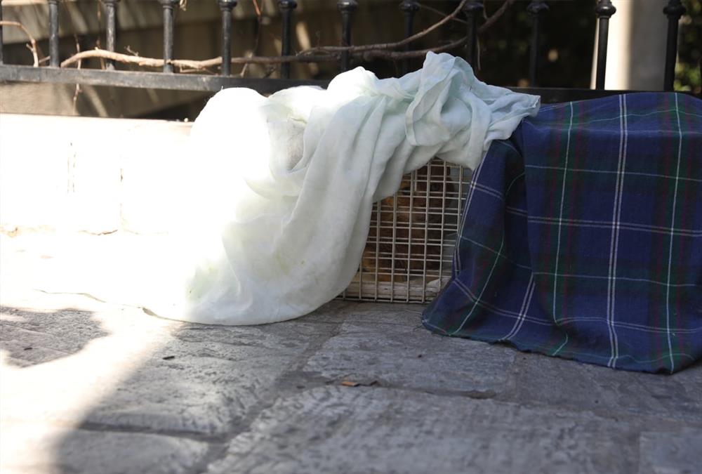 Ισχυρή έκρηξη στην Πλάκα: Κατέρρευσε και τυλίχτηκε στις φλόγες κτίριο στη Λυσικράτους