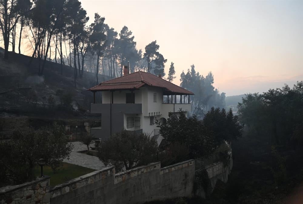 Εικόνες καταστροφής από τη φωτιά στη Χαλκιδική: Καμένα σπίτια και αυτοκίνητα