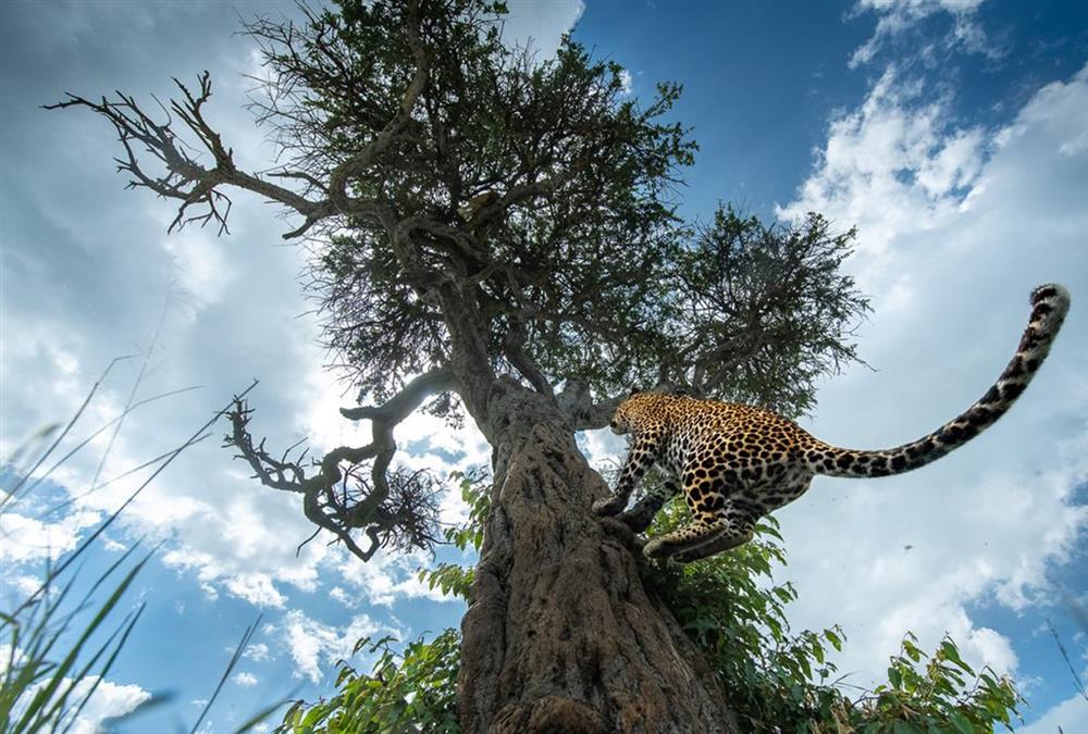 World Nature Photography Awards